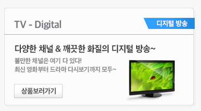 디지털방송 바로가기
